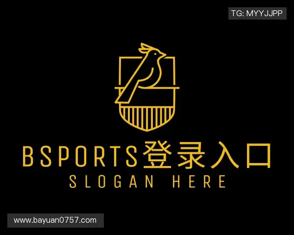 介绍bsports